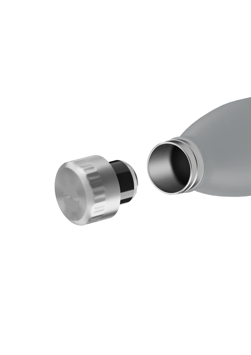 FLSK Trinkflasche aus Edelstahl 750 ml - stone