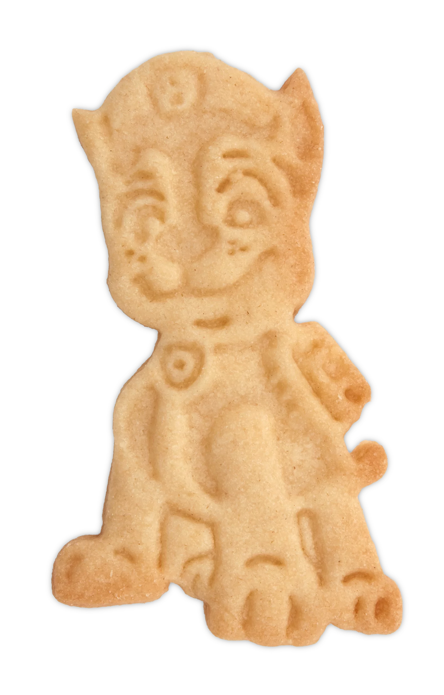 Paw Patrol Chase