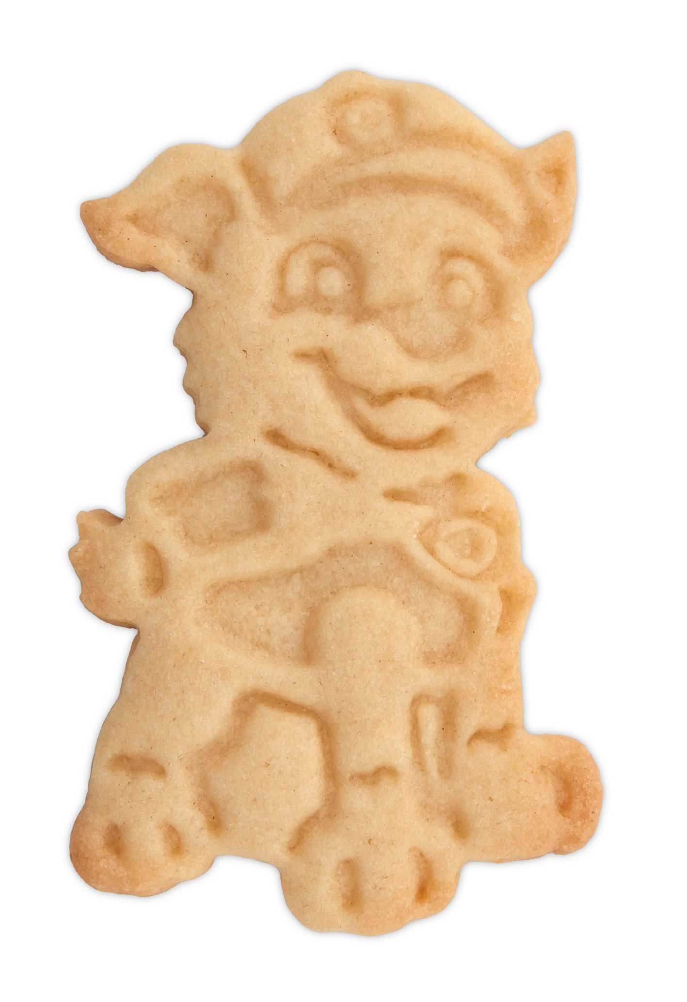 Paw Patrol Rocky
