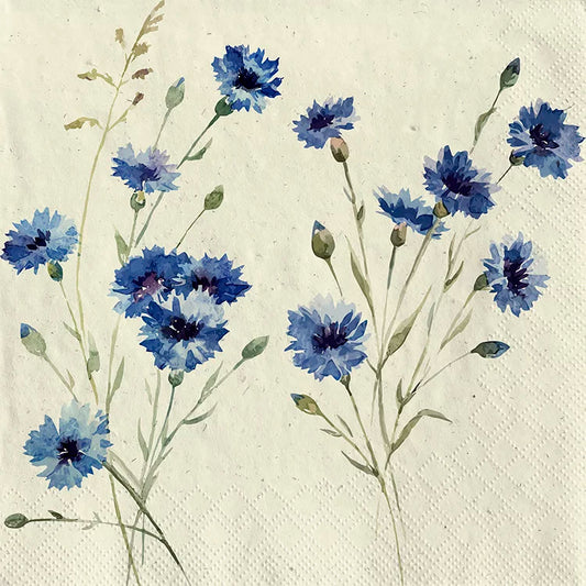 Lunch Serviette "Cornflower" 30x30cm - 20Stk.