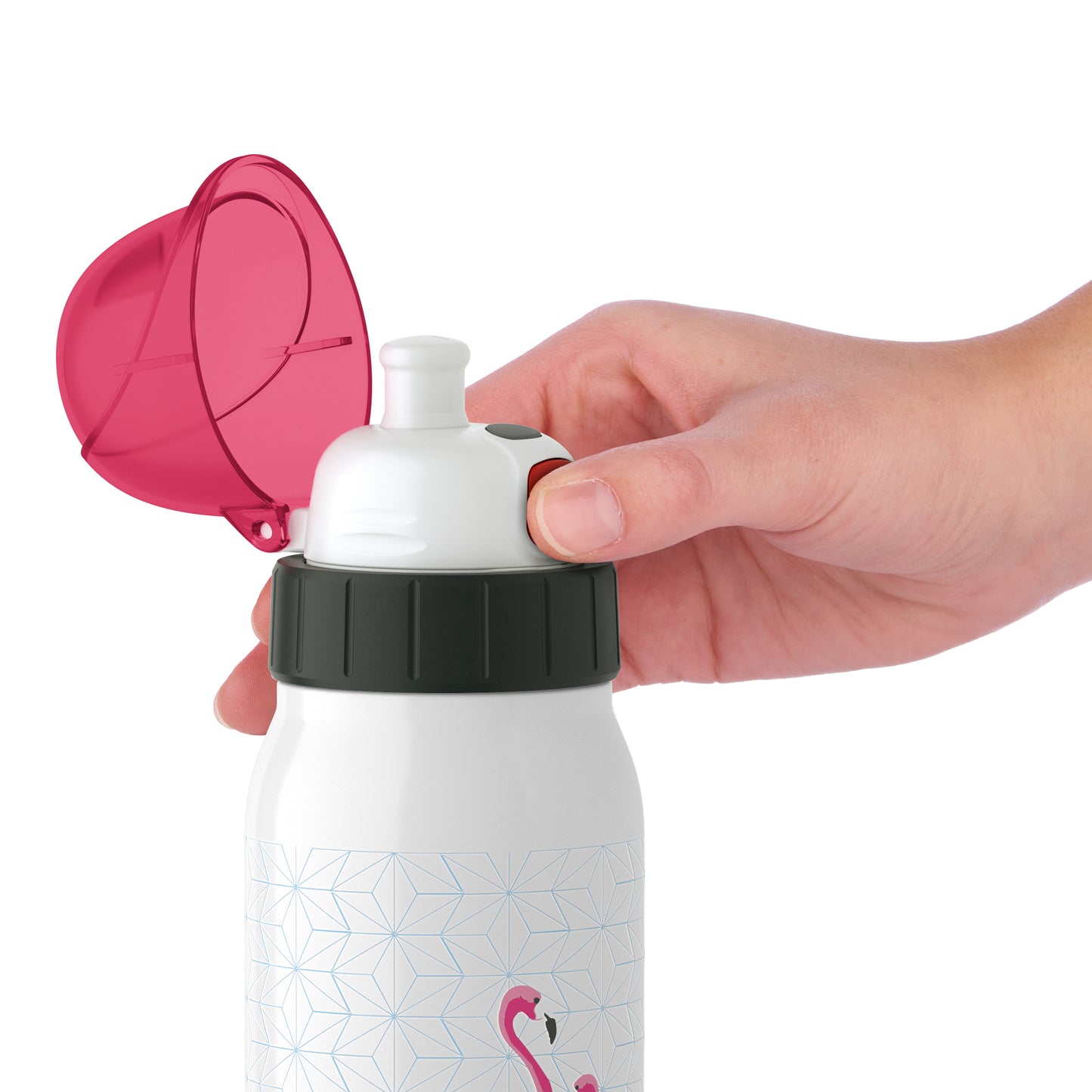 Trinkflasche Iso2go 0,5 Liter - Flamingo