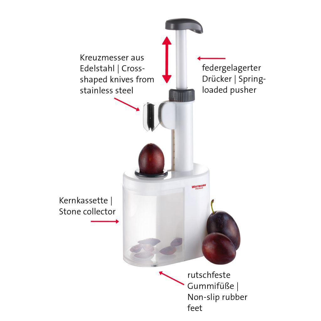 Pflaumenentsteiner Prunus