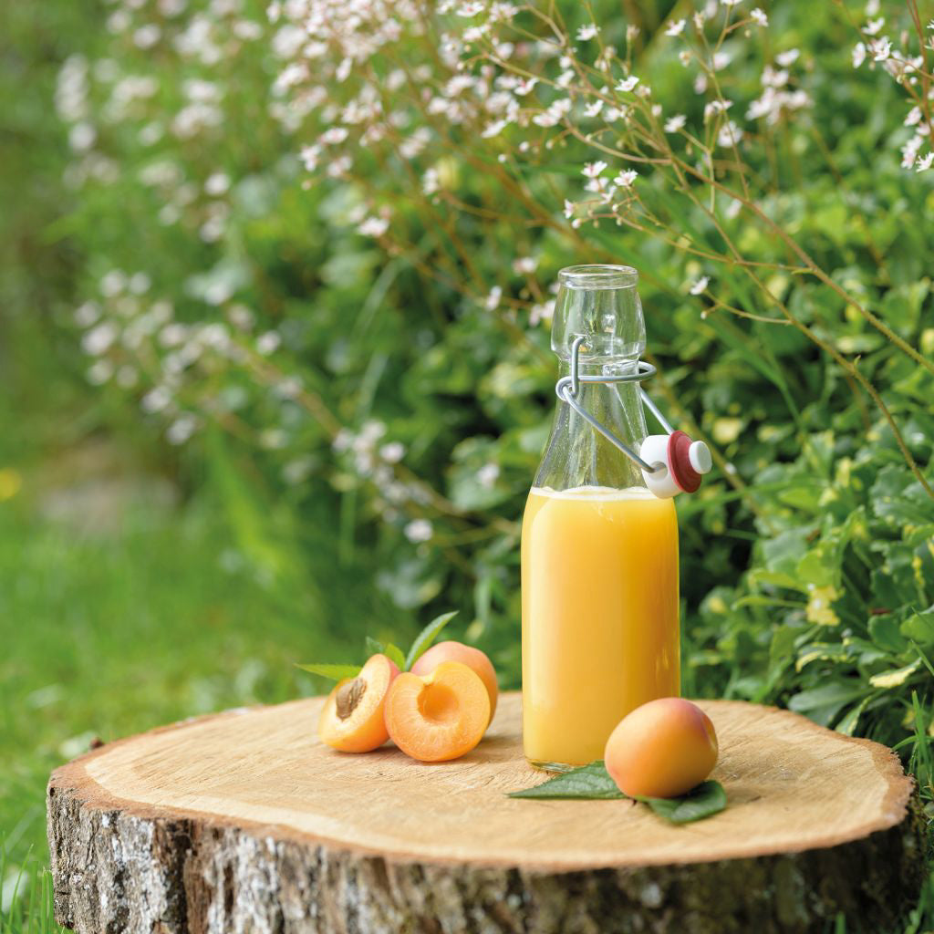 Bügelverschlussflasche eckig, 250ml